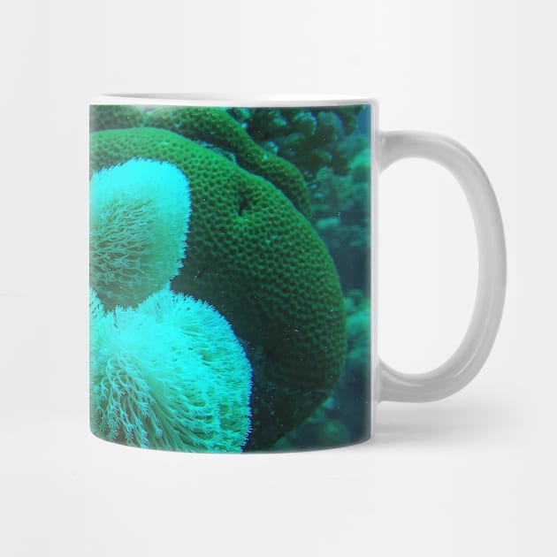 Soft Coral by likbatonboot